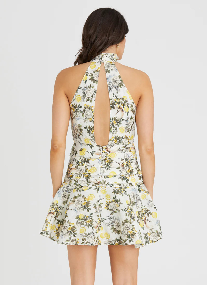 Aqua Blu - Kaley Mini Dress - Clementine
