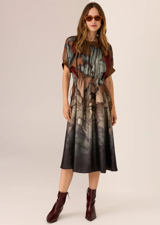 Pol Clothing - Palisades Silk Drawcord Dress - Palisades Print